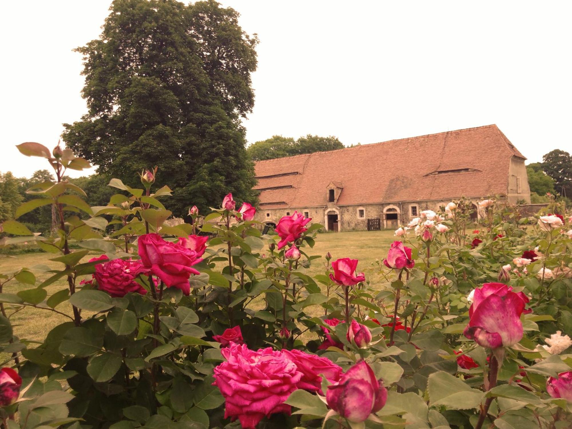 Villa Studniska Country Estate Esterno foto