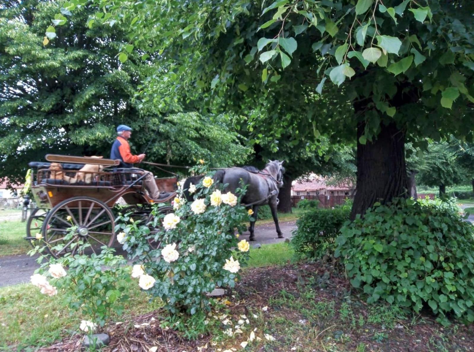 Villa Studniska Country Estate Esterno foto