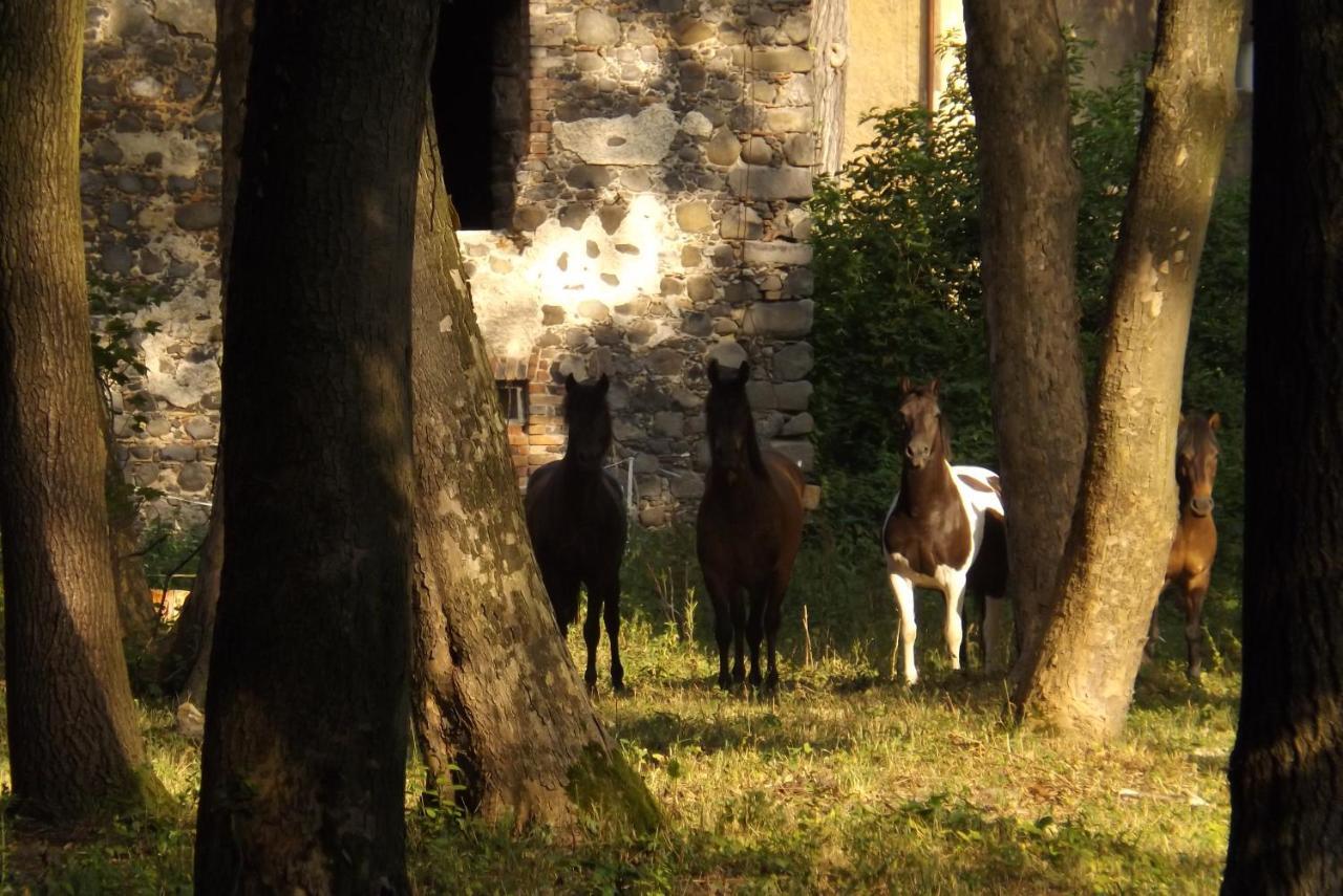 Villa Studniska Country Estate Esterno foto